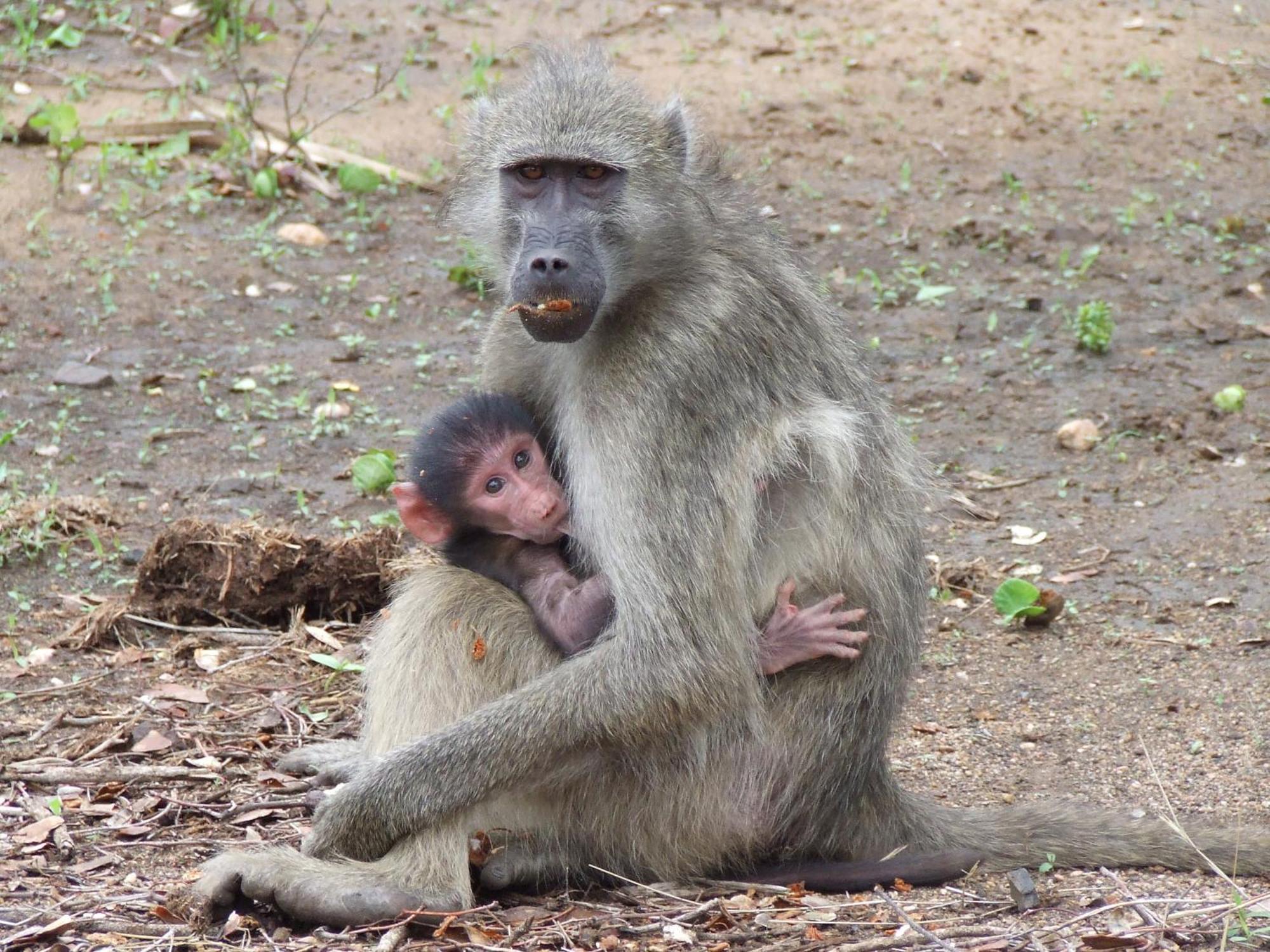 Vuyani Safari Lodge Hoedspruit Luaran gambar