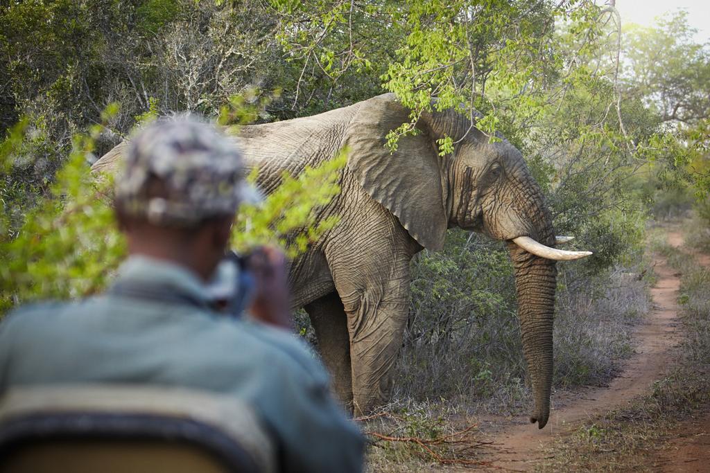 Vuyani Safari Lodge Hoedspruit Luaran gambar
