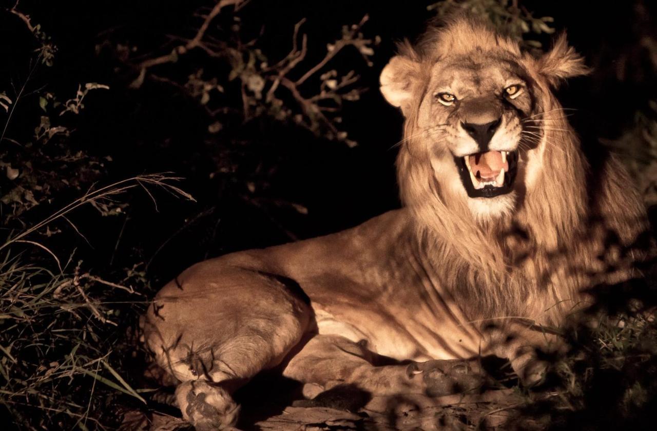Vuyani Safari Lodge Hoedspruit Luaran gambar