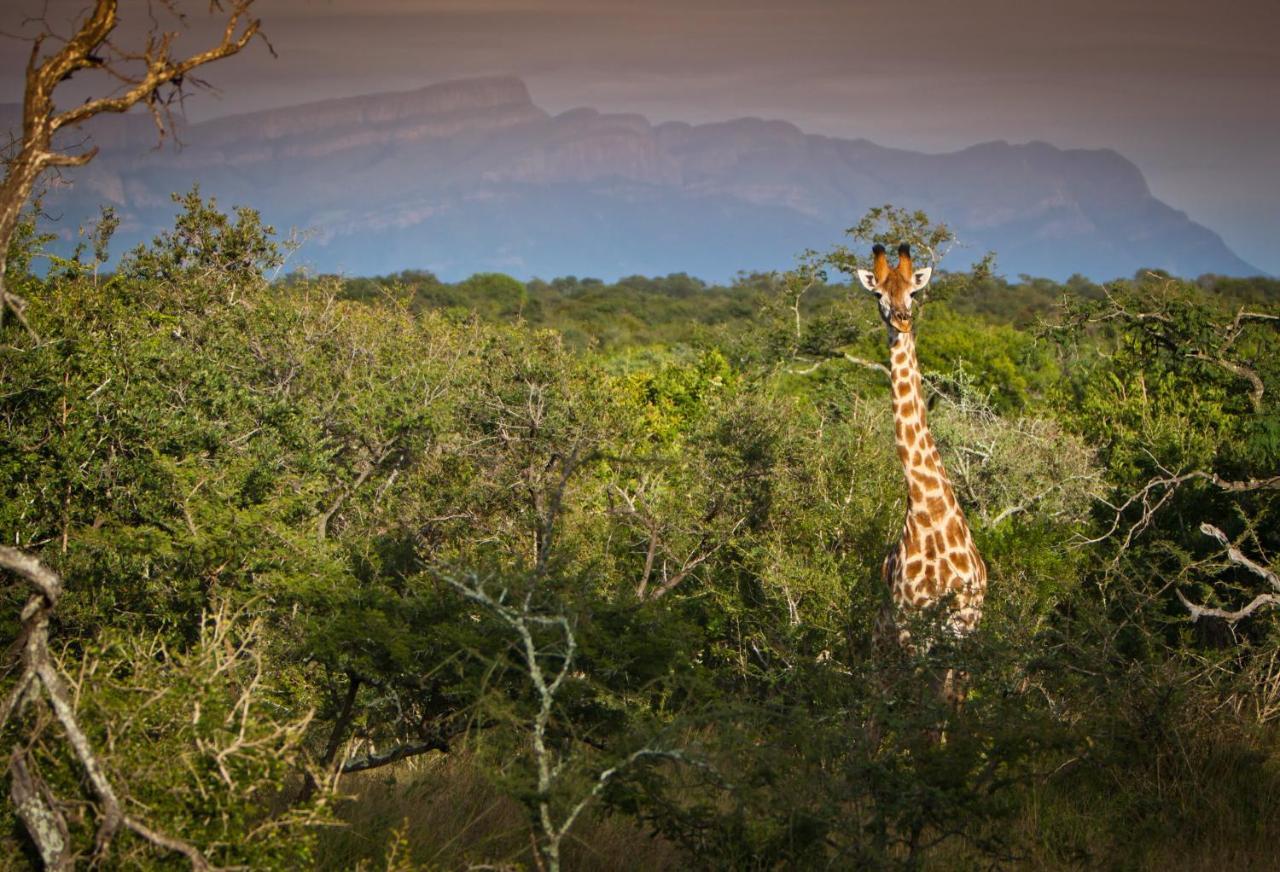 Vuyani Safari Lodge Hoedspruit Luaran gambar